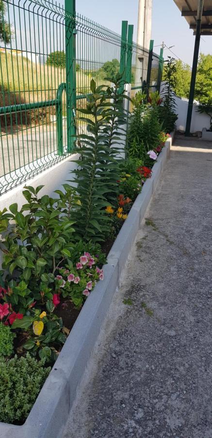Ferrinho Hotel Guarda Exterior photo